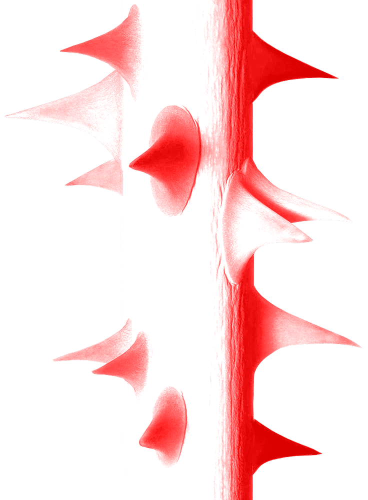 h1dden secret background